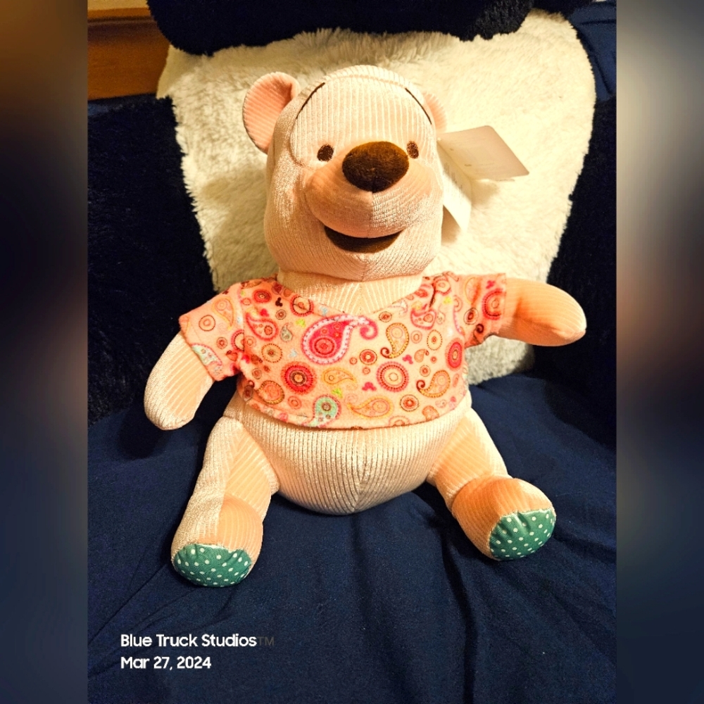 Winnie The Pooh Disney Store Paisley Pooh Stuffed Plush  NWT